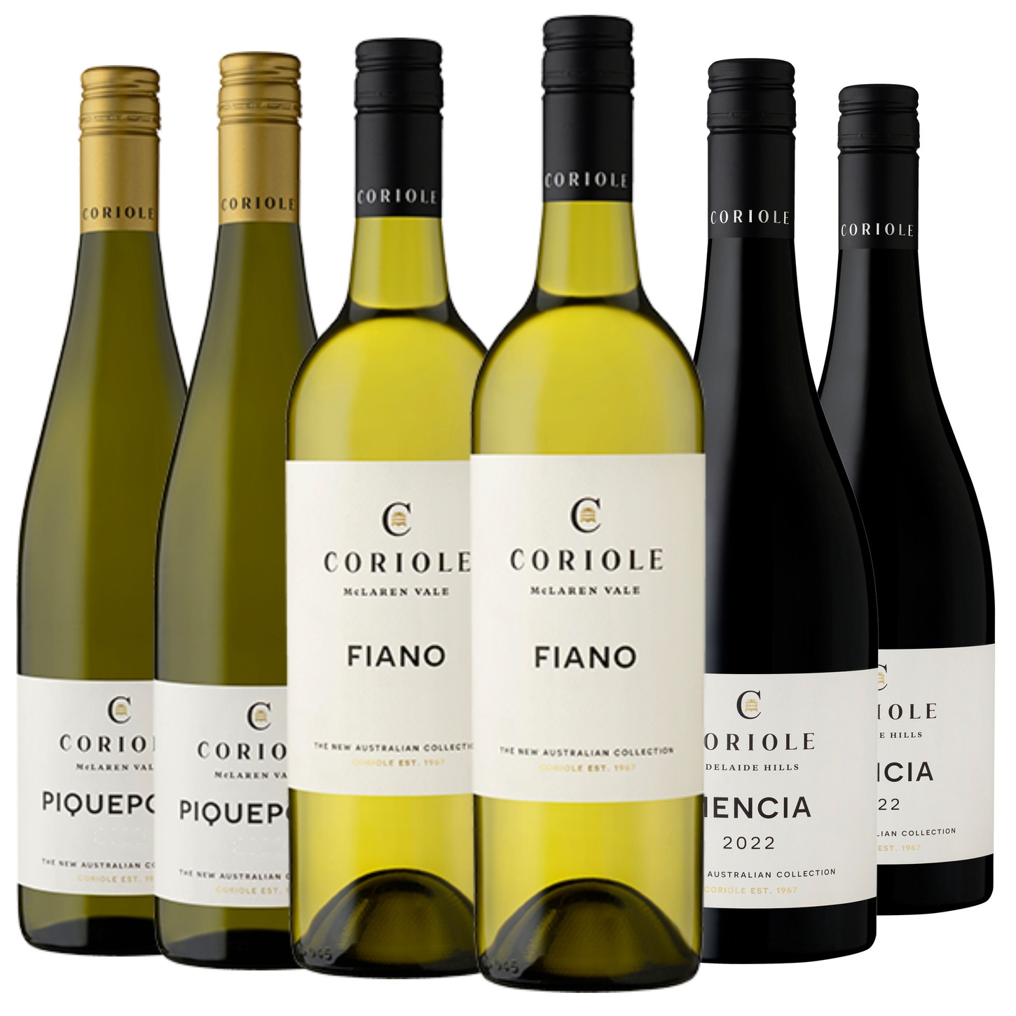 Piquepoul, Fiano and Mencía 6 Pack
