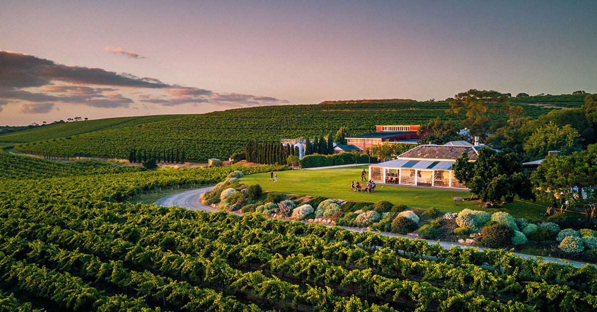 Mixed Packs – Coriole Vineyards